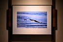 Crow in Pursuit-2