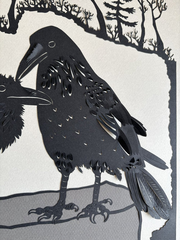Grooming Ravens