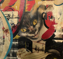Black Cat Fireworks, 2026-4