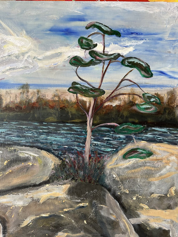 Escarpment Edge