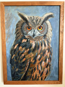 Great Horned Owl-2