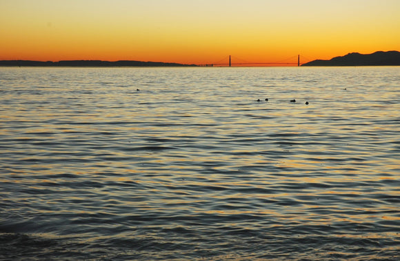 San Francisco Bay and Golden Gate Bridge