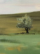 Olive Grove-2