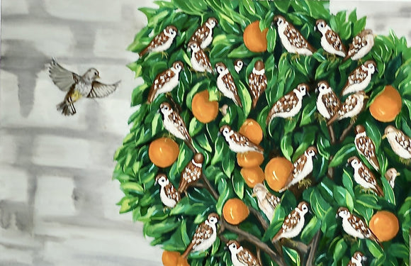 More Than Many Sparrows