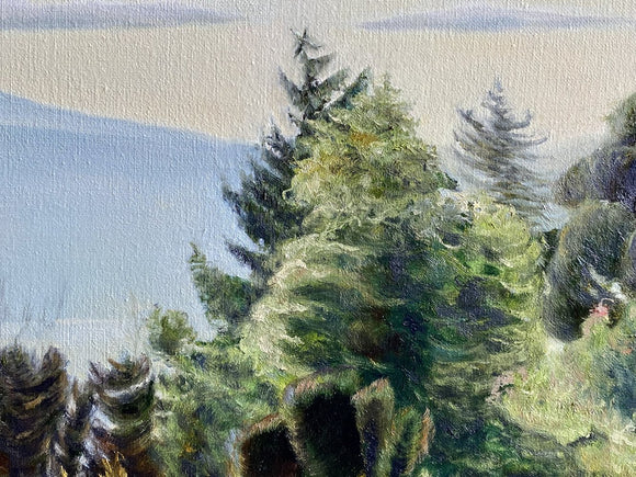 The View II