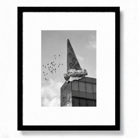 Between Form and Flight