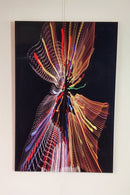 San Rafael in Motion-4