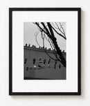 Birds in Silence-2