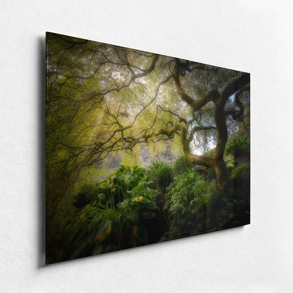 Twisted Light