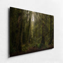 The Clearing-2