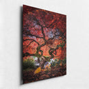 Crimson Curtain Call-2