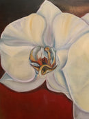Prosperity-2