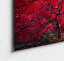 Scarlet Crown-2