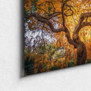 Branching Out-2