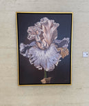 Grandeur-2