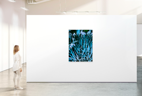 Botanicals  FL_7343.25.02