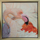 Pink Fluff-2