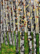 Colours of fall-2