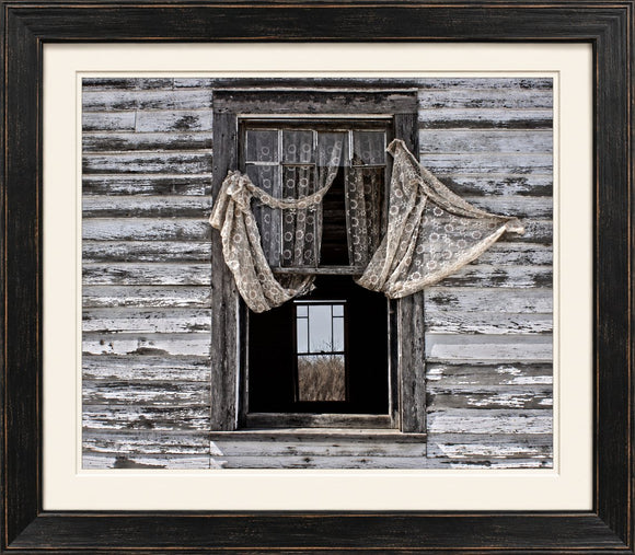 Window Pain