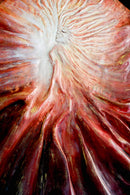 Venus-2
