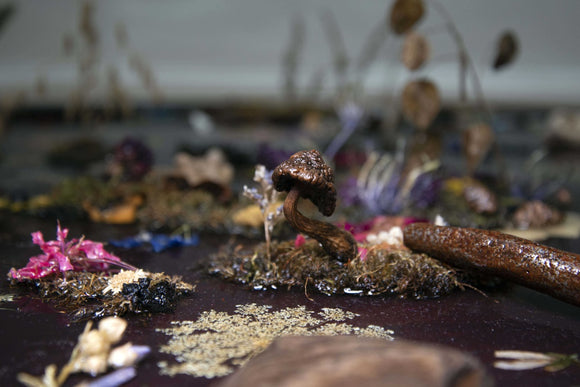 I SPY,  Terraforming (2024)