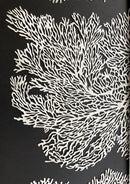 Historia Del Mar III-3