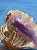 Conch Shell Study-3