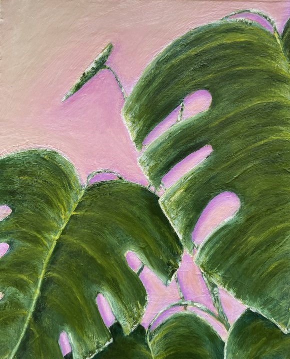 Monstera on Pink