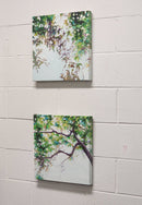 Climbing vines-2