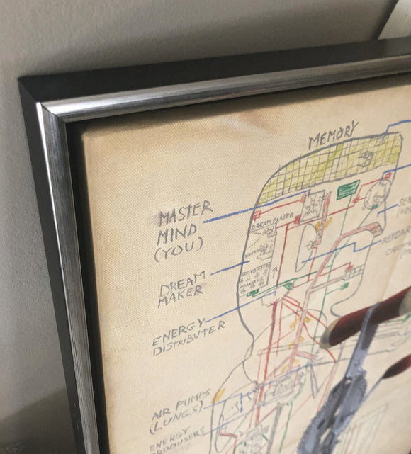 LOST IN TRANSITION - Evolution