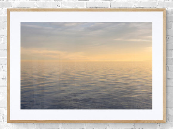 Tommy Thompson Park No2