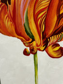 Parrot Tulip 3-3