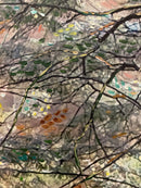 Forest-3