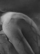 Entangled in My Roots-3