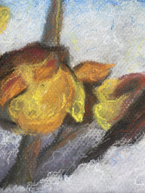Winter flowers (3)