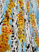 Silver Birch-3