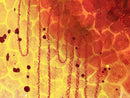 Soul's Heat-3