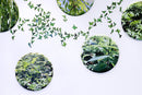 Mixed Nature #2098-3