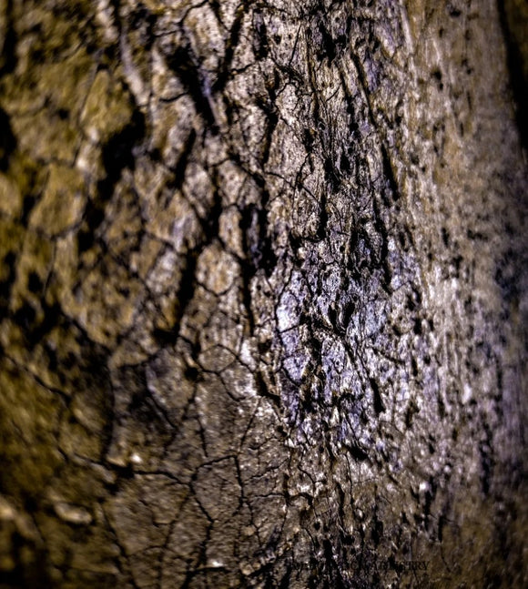 Golden Pyramid Triangle