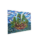 Island 032-3