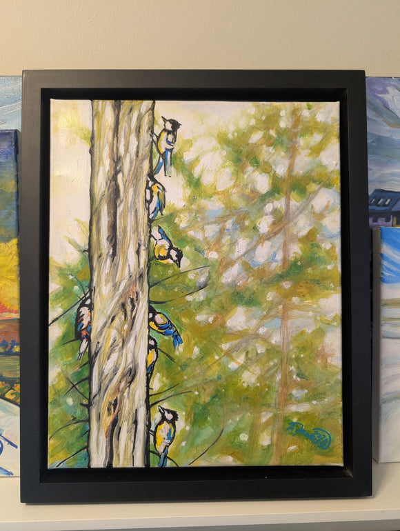 Light, Bird's and Song