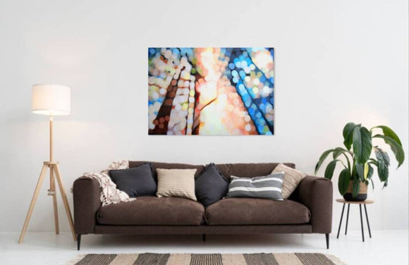 Into the Woods