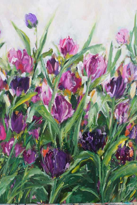 Tulips