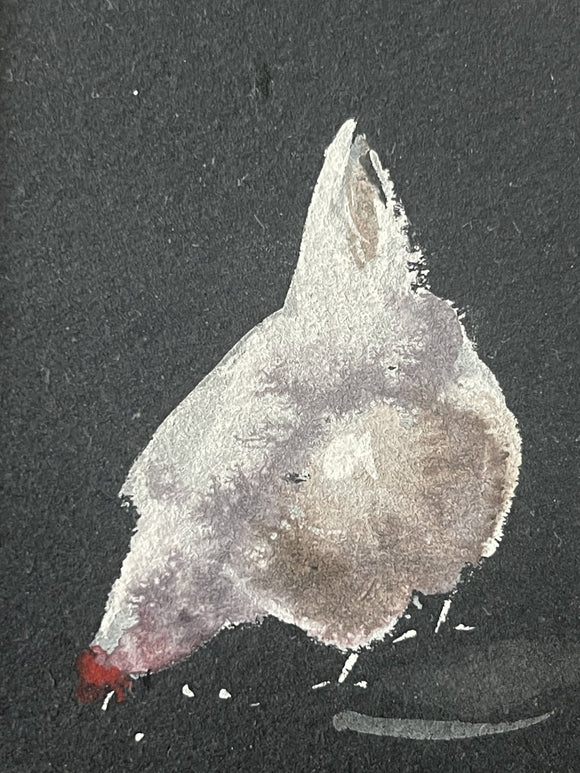 White hens