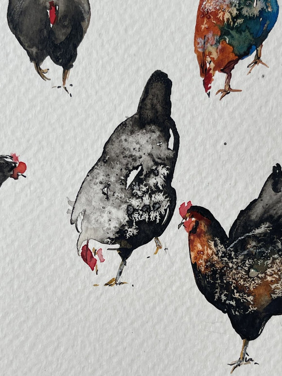 Colourful chickens