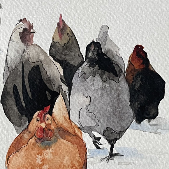 Happy Plump Chickens
