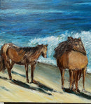 Wild Horses of Sable Island, Nova Scotia-3