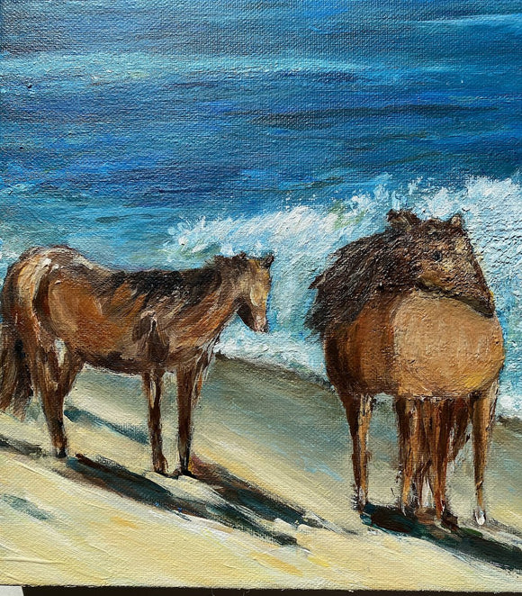 Wild Horses of Sable Island, Nova Scotia