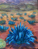 Blue Agave Desert-3