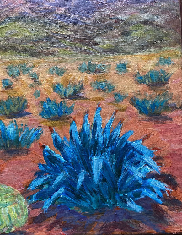 Blue Agave Desert